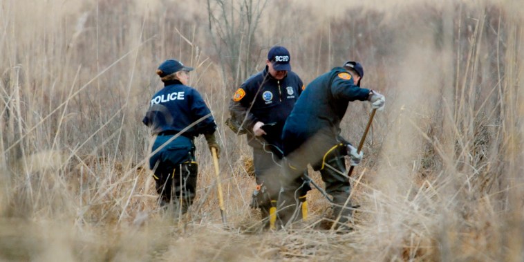 Crime Scene investigators use metal detectors to search for the remains of Shannan Gilbert in Oak Beach, N.Y. on Dec. 12, 2011.