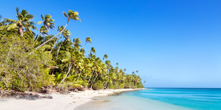 Beautiful exotic sandy beach with palm trees, Fiji