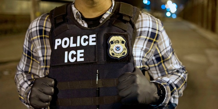 Immigration & Customs Enforcement (ICE) Agents