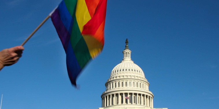 Image: A demonstrator waves a Pride flag in front of the Capitol.