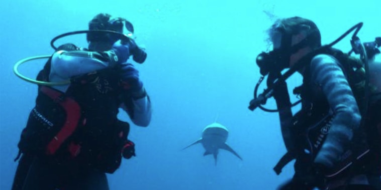 Kerry (screen left) does an underwater interview with a scientist as a Bull shark approaches.