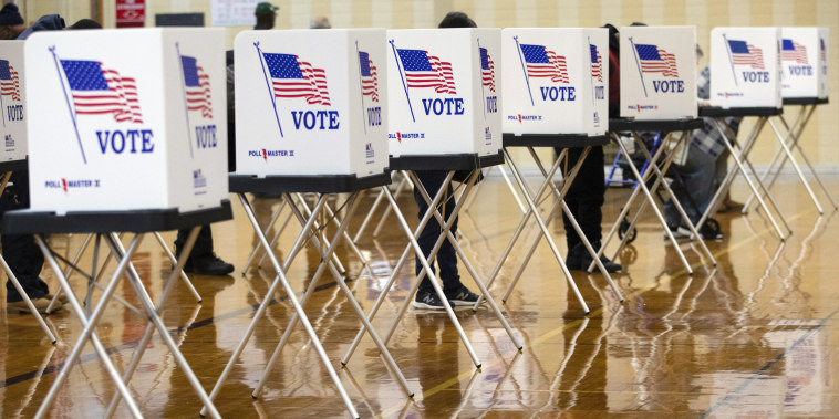 Image: Michigan voting machines