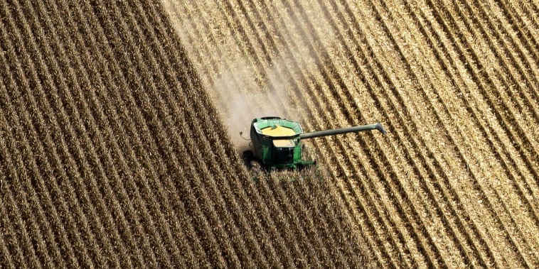 A combine harvests corn in a field near Coy, Ark., on Aug. 16, 2012.