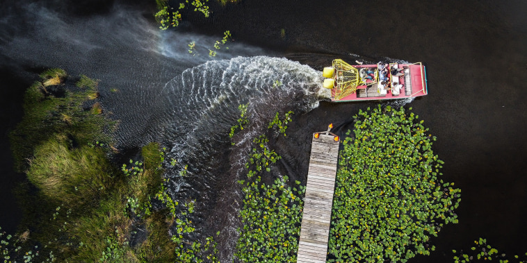An airboat hovers over wetland in Everglades National Park, Fla., on Sept. 30, 2021.