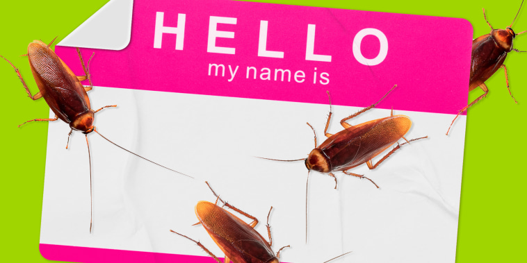 Photo illustration of a "Hello, my name is..." sticker with cockroaches crawling over it.