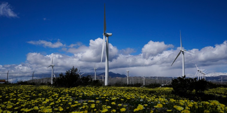 Wind turbines stand in fields near Palm Springs, Calif.,