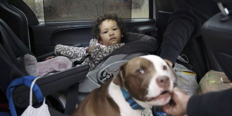 Dog saves baby