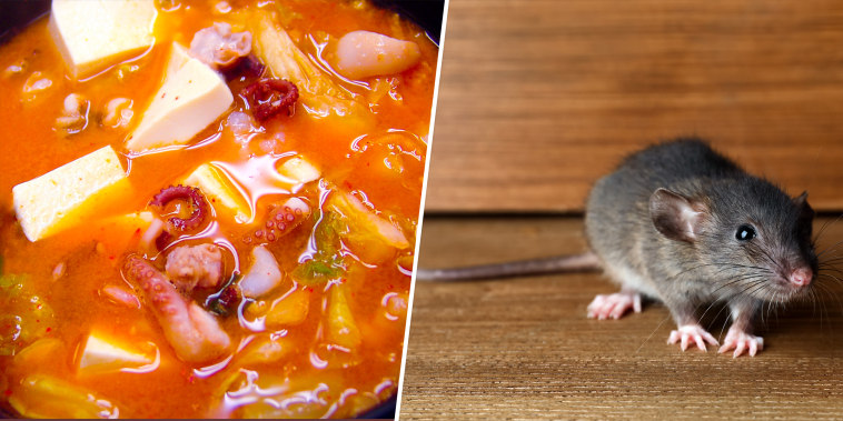 mouse found in Jigae soup