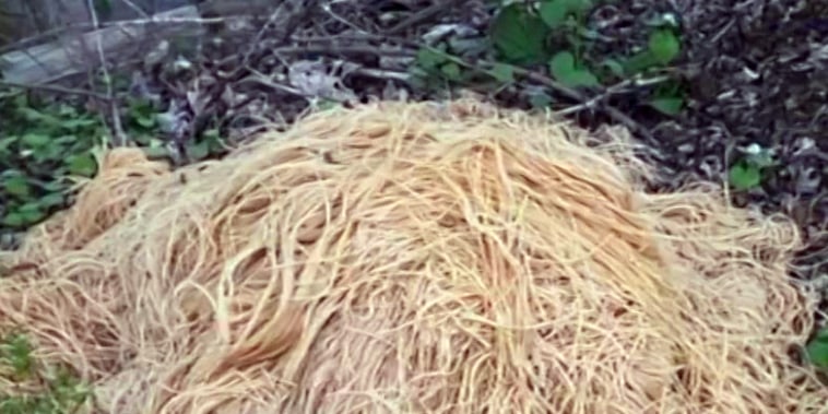 Hundreds of pounds of pasta were dumped in a New Jersey town. 