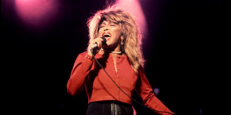 Tina Turner At The Poplar Creek Music Theater