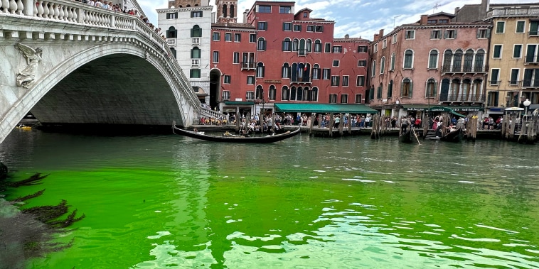 Gondolas navigate by the Rialto Bridge on Venice's historic Grand Canal