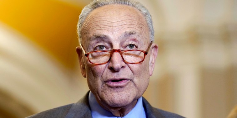 Senate Majority Leader Chuck Schumer speaks to reporters at Capitol
