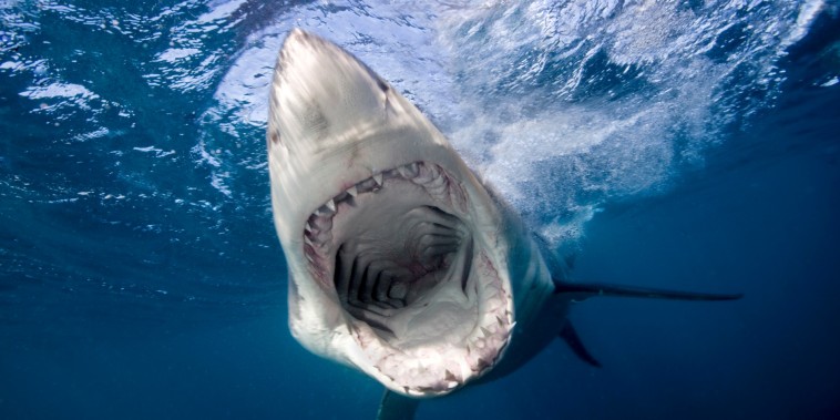 HeadlineImage