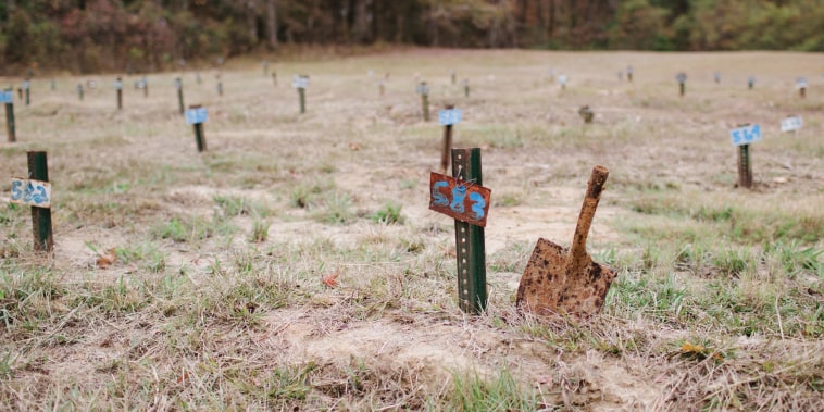 Image: Metal stakes with numbered signs dot a grassy field. A rusty shovel sits next to one of the stakes.