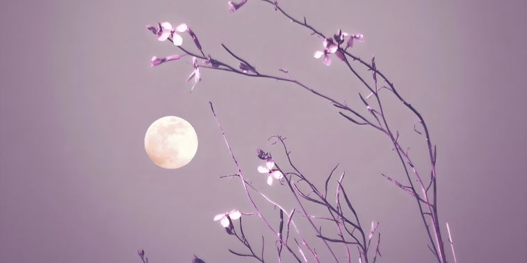 April full moon surrounded by plants that want to caress her in a minimalist scene