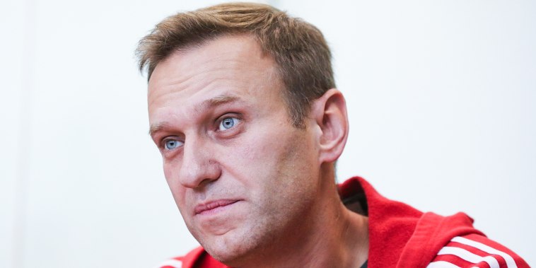 Alexei Navalny attends a hearing