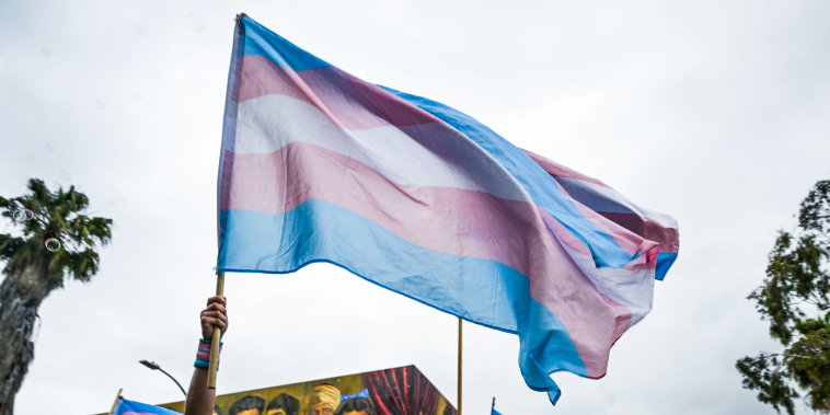 People wave a Transgender Pride flags