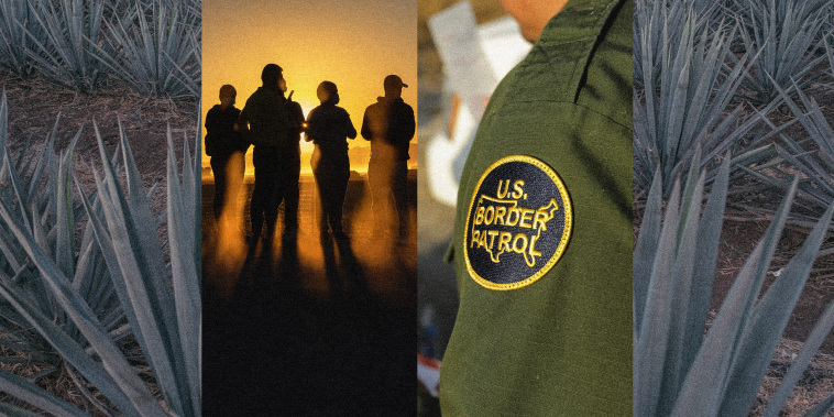 a combination of images including agave plants, border patrol, and a patrol patch