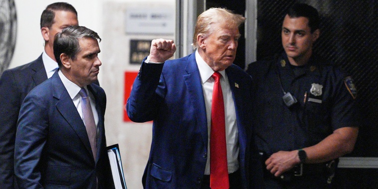 Donald Trump raises his fist 