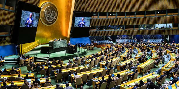 Image: A special session of the UN General Assembly
