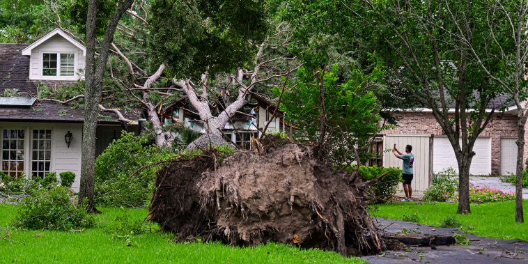 A home is severely damaged by a fallen tree