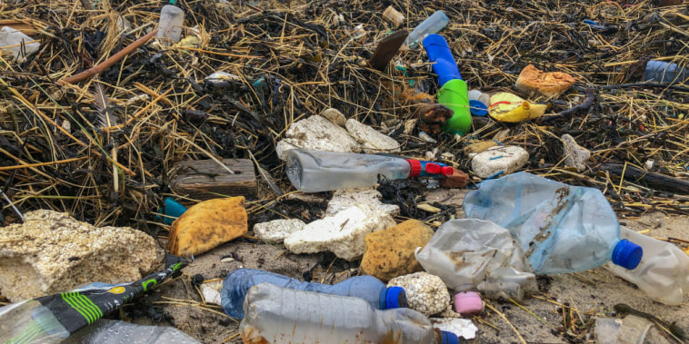 Desperdicios plásticos en la costa norte de Dinamarca.

