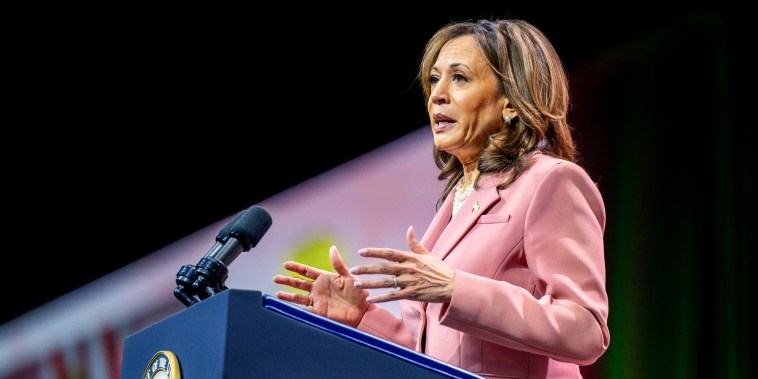 Vice President Kamala Harris Speaks