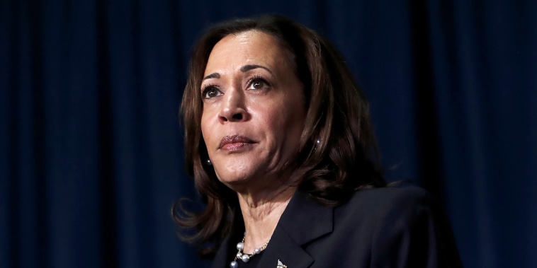 Image: Vice President Harris Holds Campaign Event In Kalamazoo, Michigan politics political politician