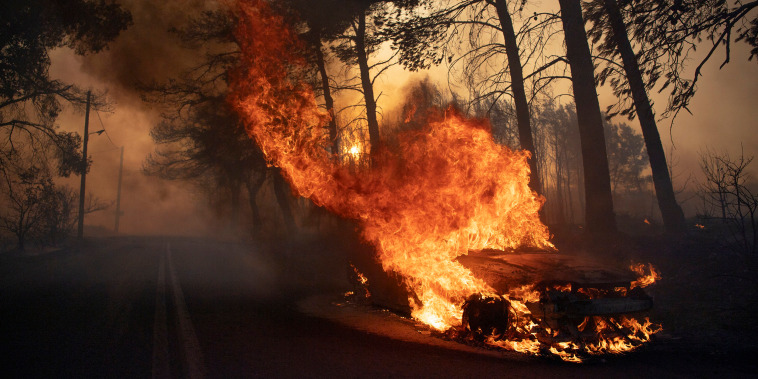 Many regions of the country on high alert due to high temperatures and wind speeds. 