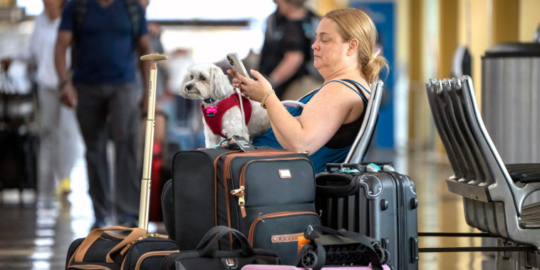 Shelly Suarez waits with her dog, Maxine, near the JetBlue counters at Reagan National Airport