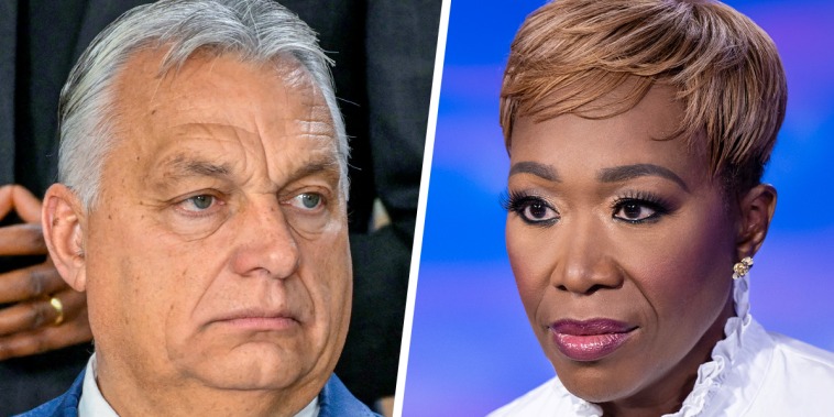 A split composite of Viktor Orban and Joy Reid.