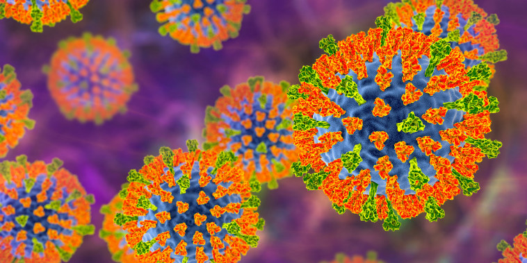 An illustration of the measles virus. 