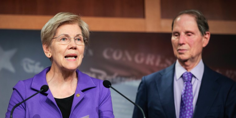Elizabeth Warren speaks at a podium while Ron Wyden listens behind her