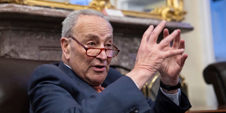 Senate Minority Leader Chuck Schumer 