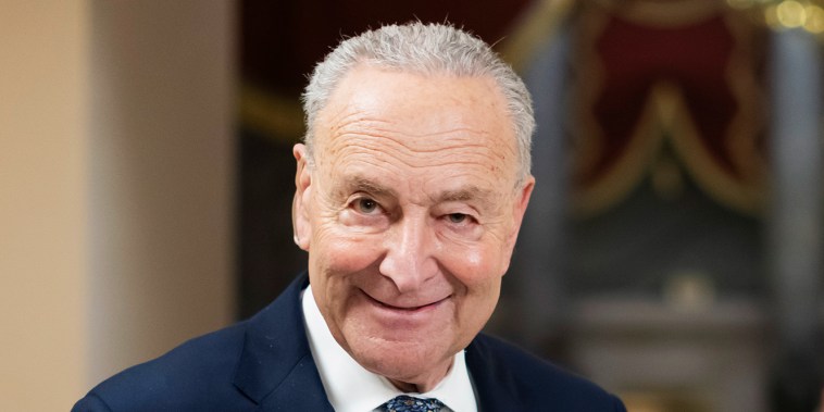 Chuck Schumer smiles during a television interview