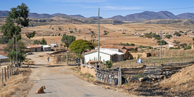 A village is seen outside with a dog laying in the street and a mountainscape in the background