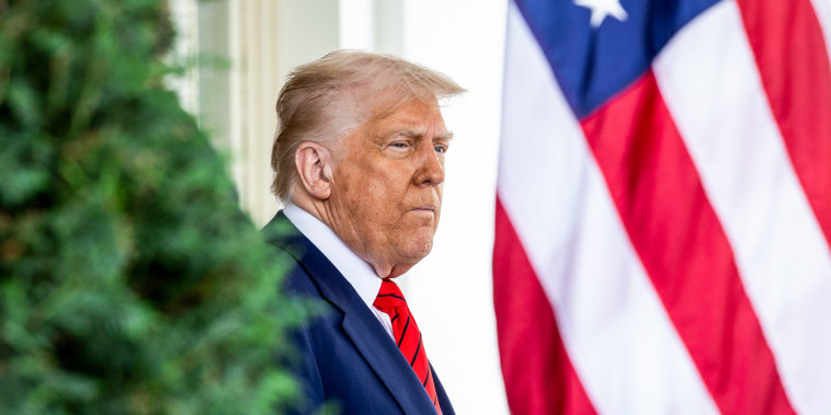Donald Trump waits outside between a bush and a flag