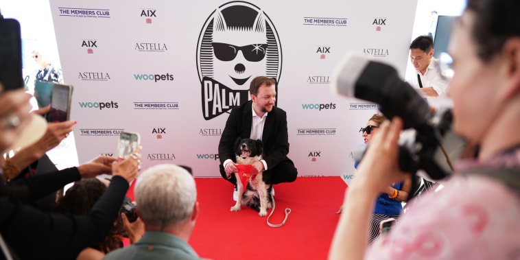 France Cannes 2025 Palm Dog