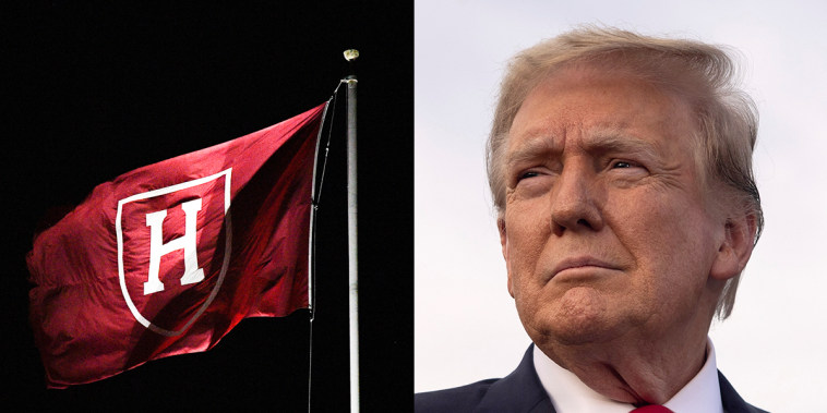 harvard crimson flag donald trump politics political politician