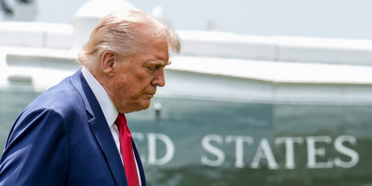 President Trump walks outside on a lawn, Air Force One is parked behind him in the distance