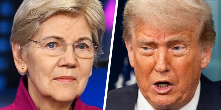 Senator Elizabeth Warren and President Donald Trump.