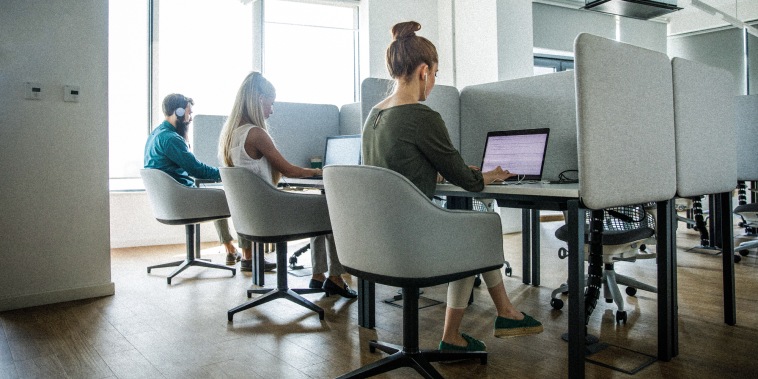 Rear view of business people working in cubicles in a communal office Wide shot of three business people sitting in cubicles, in a communal office space, using laptops and working diligently on projects.