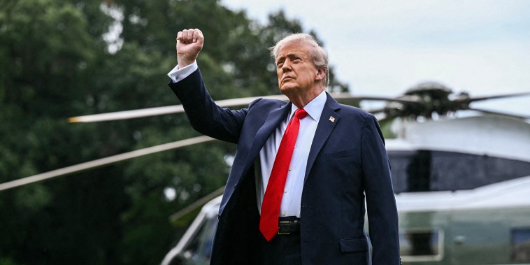 Image: President Donald Trump
