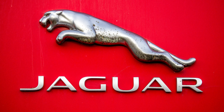 The Jaguar company logo.