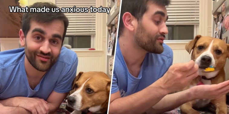 Viral TikTok with dog and owner taking SSRIs together normalizes anxiety