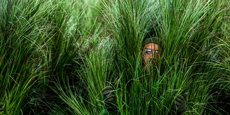 Super Bowl LX Seattle Seahawks vs. New England Patriots