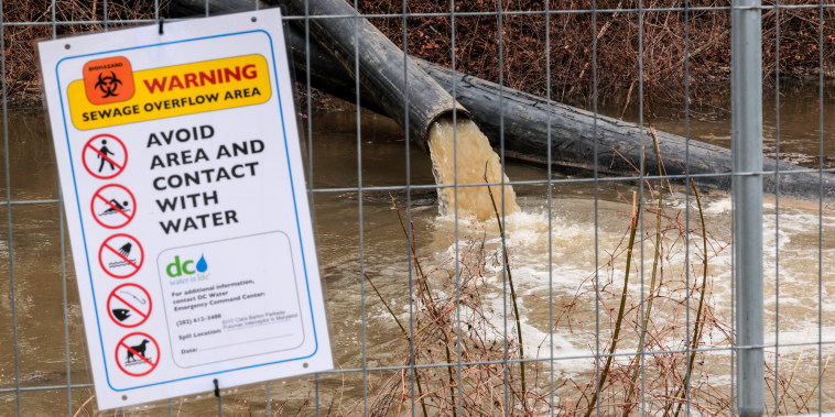 A pipes spills sewage into a body of water