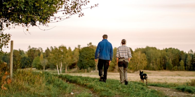 Rear view of couple with dog walking on field at sunset