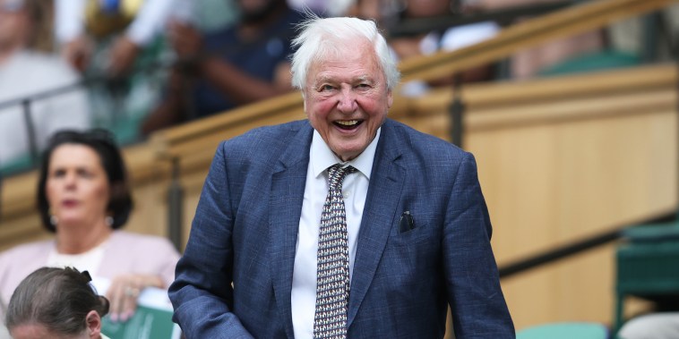 Day One: The Championships - Wimbledon 2024