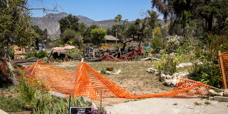 altadena fire cleanup